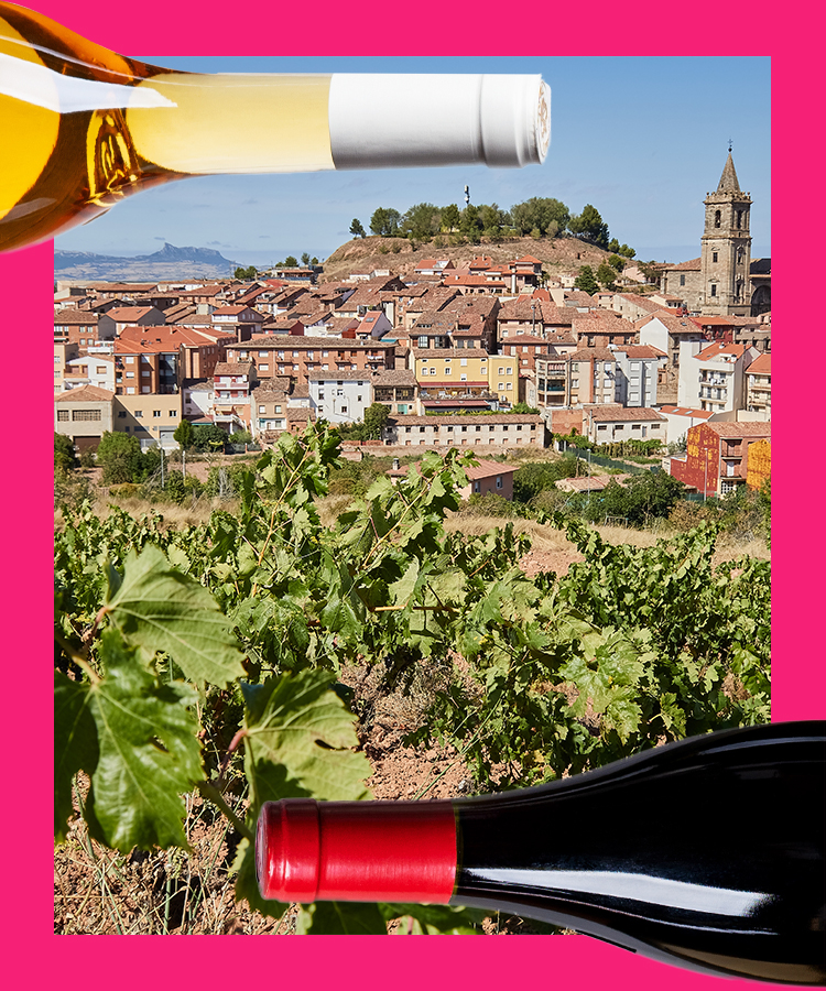 8 of the Best Red Wines From Rioja